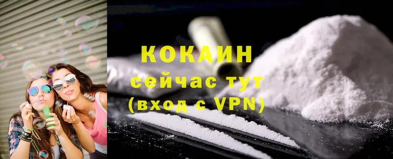 закладки  Кизляр  shop телеграм  COCAIN FishScale 